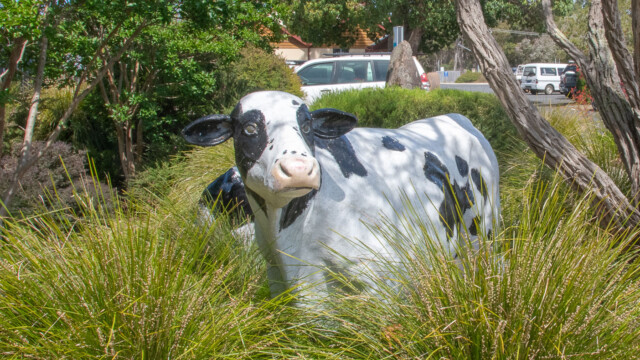 COWARAMUP Image